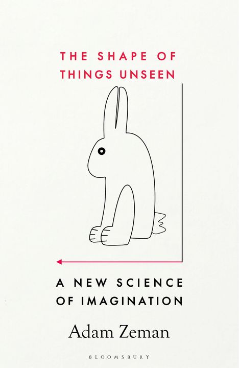 Adam Zeman: The Shape of Things Unseen, Buch