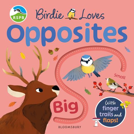 „Birdie Loves Opposites“ steht groß oben, „Big“ und „Small“ daneben. Illustration: Hirsch, Vögel, Blätter.