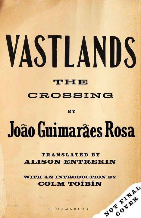 Titel: "VASTLANDS: The Crossing by João Guimarães Rosa". Mit Übersetzung von Alison Entrekin, Einführung von Colm Tóibín.