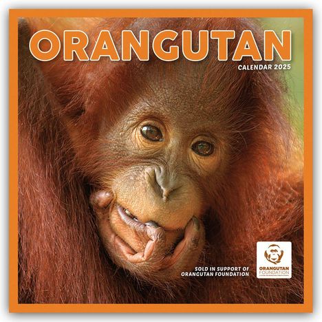 Carousel Calendar: Orangutan - Orang-Utan 2025 - Wand-Kalender, Kalender