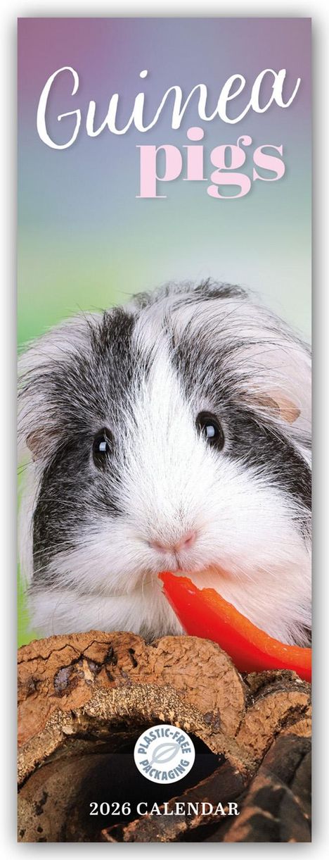 Carousel Calendar: Guniea Pigs - Meerschweinchen 2026 - Slimline-Kalender, Kalender