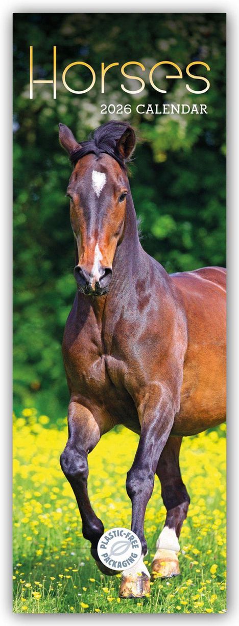 Carousel Calendar: Horses - Pferde 2026 - Slimline-Kalender, Kalender