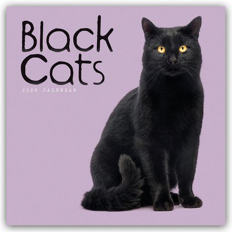 Carousel Calendar: Black Cats - Schwarze Katzen 2026 - Wand-Kalender, Kalender