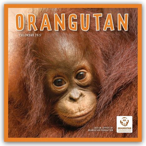Text: "ORANGUTAN CALENDAR 2027." Ein Orang-Utan-Baby schaut direkt, umgeben von rötlich-braunem Fell. Logo der Orangutan Foundation.