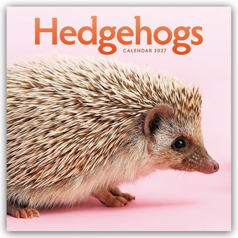 Texte: "Hedgehogs Calendar 2027". Ein Igel vor rosa Hintergrund.