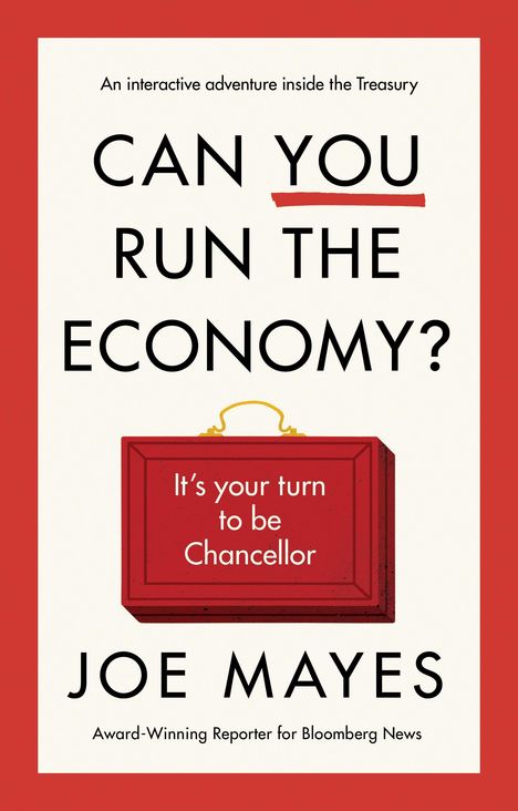 Joe Mayes: Can You Run the Economy?, Buch