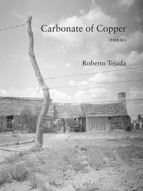 Roberto Tejada: Carbonate of Copper, Buch