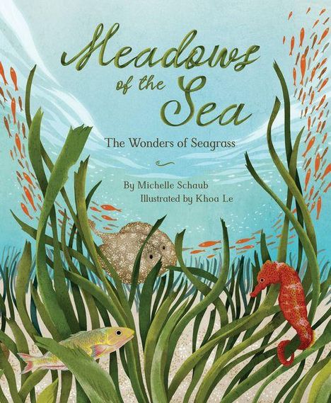 Michelle Schaub: Meadows of the Sea, Buch