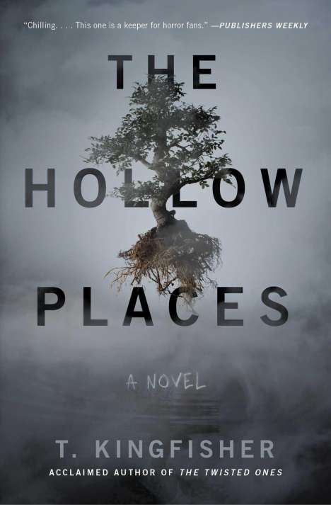 T. Kingfisher: Hollow Places, Buch