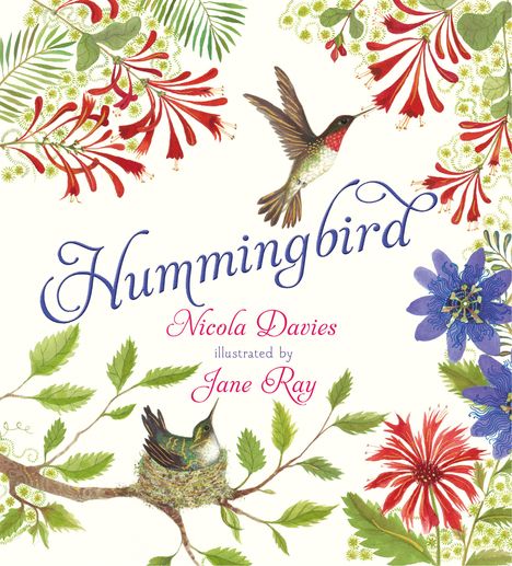 Nicola Davies: Hummingbird, Buch