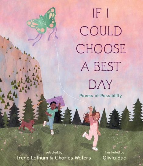 Charles Waters: If I Could Choose a Best Day: Poems of Possibility, Buch