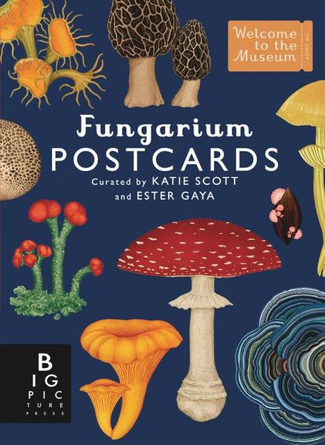 Ester Gaya: Fungarium Postcard Box Set, Diverse