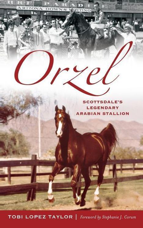 Tobi Taylor: Orzel: Scottsdale's Legendary Arabian Stallion, Buch