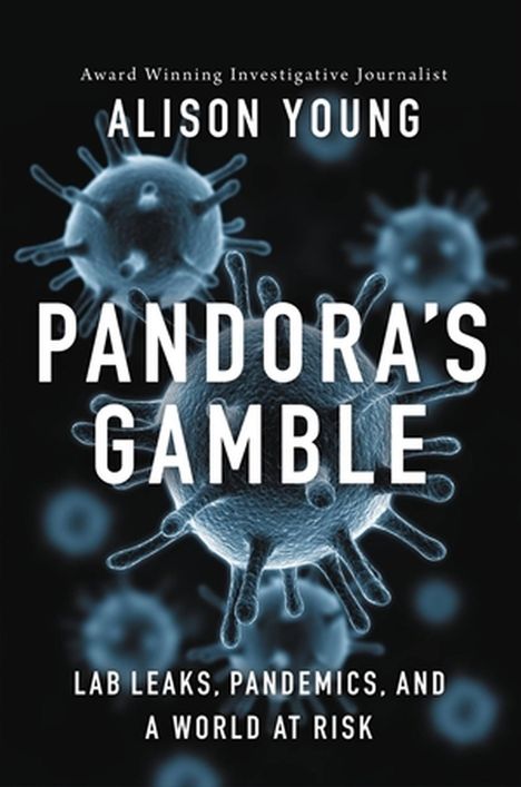 Alison Young: Pandora's Gamble, Buch