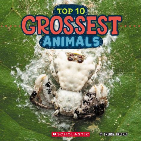Brenna Maloney: Top Ten Grossest Animals (Wild World), Buch