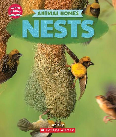 Jay Leslie: Nests (Learn About: Animal Homes), Buch