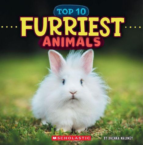 Brenna Maloney: Furriest Animals (Wild World: Top 10), Buch