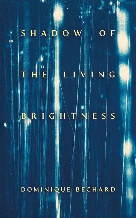 "SHADOW OF THE LIVING BRIGHTNESS DOMINIQUE BÉCHARD." Blaue, neblige Abstraktion mit vertikalen, leuchtenden Linien.