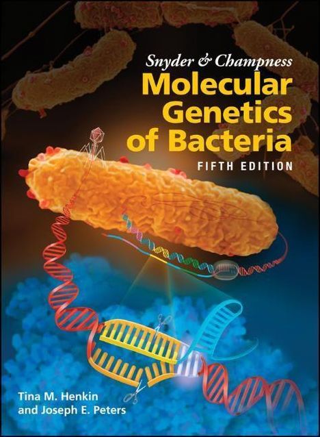 Tina M Henkin: Snyder and Champness Molecular Genetics of Bacteria, Buch