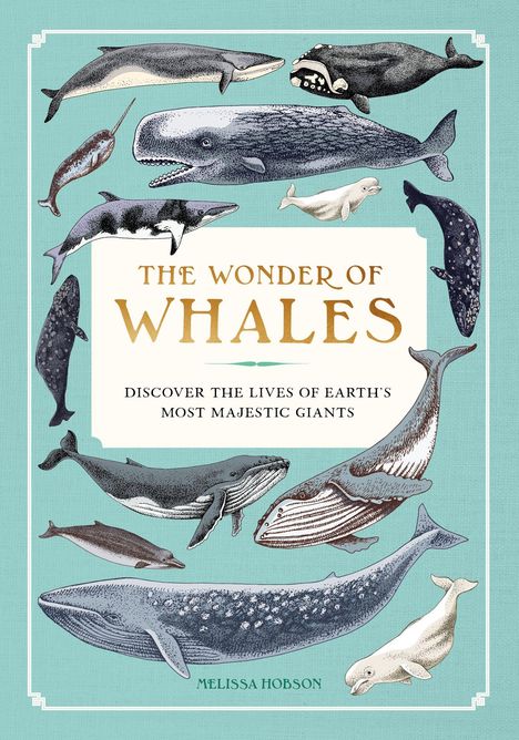 "The Wonder of Whales: Discover the Lives of Earth's Most Majestic Giants." Illustration von Walen auf blauem Hintergrund.