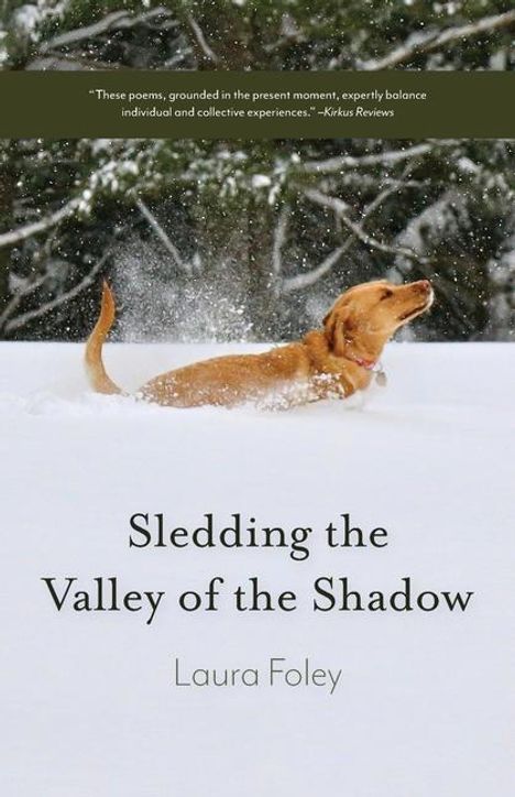 Laura Foley: Sledding the Valley of the Shadow, Buch