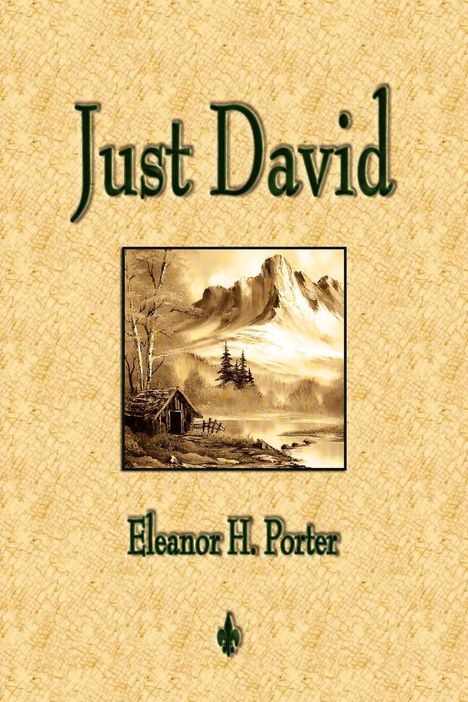 Eleanor H Porter: Just David, Buch