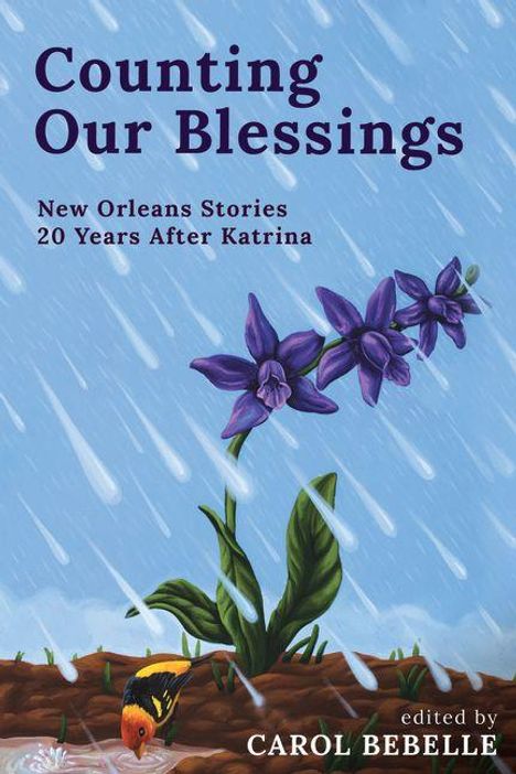 „Counting Our Blessings: New Orleans Stories 20 Years After Katrina, edited by Carol Bebelle“. Illustration: lila Blume, Regen.