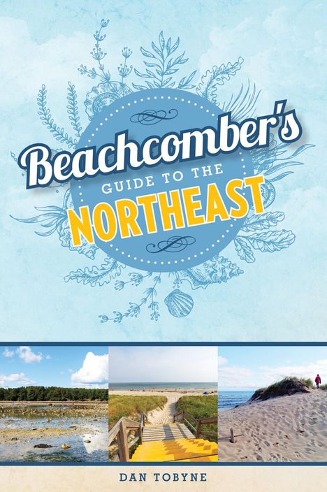 Dan Tobyne: Beachcomber's Guide to the Northeast, Buch