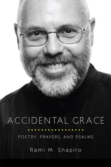 Rami Shapiro: Accidental Grace, Buch