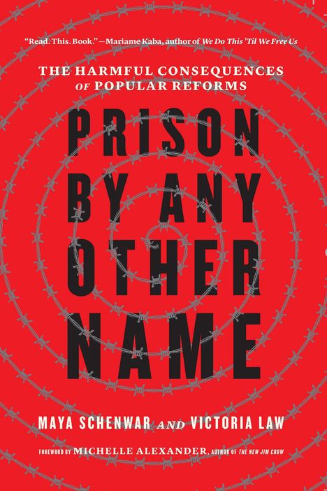 Maya Schenwar: Prison by Any Other Name, Buch