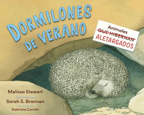 Melissa Stewart: Dormilones de Verano (Spanish Edition), Buch