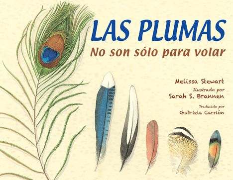 Melissa Stewart: Las Plumas (Spanish Edition), Buch