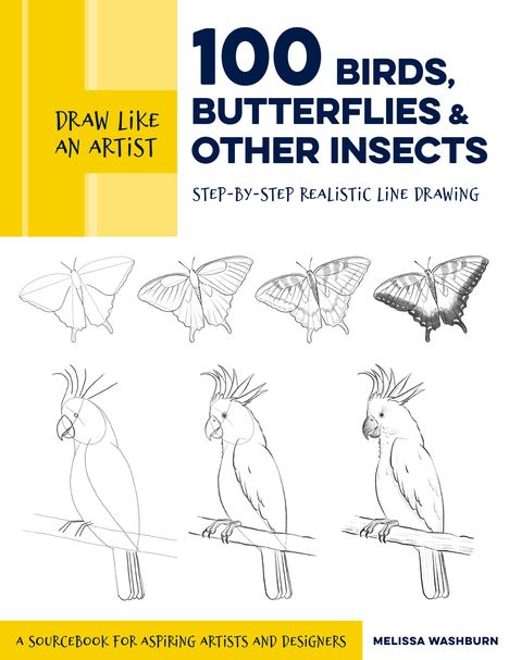 Melissa Washburn: Draw Like an Artist: 100 Birds, Butterflies, and Other Insects, Buch