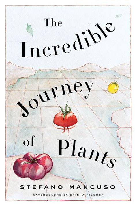 "The Incredible Journey of Plants" von Stefano Mancuso. Wasserfarben-Illustration mit Tomaten auf einer Weltkarte.