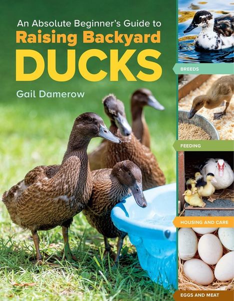 Gail Damerow: An Absolute Beginner's Guide to Raising Backyard Ducks, Buch