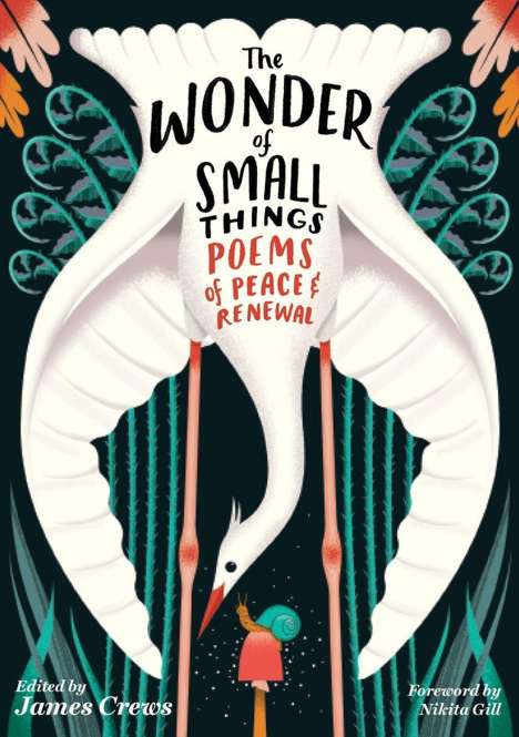 James Crews: The Wonder of Small Things: Poems of Peace and Renewal, Buch