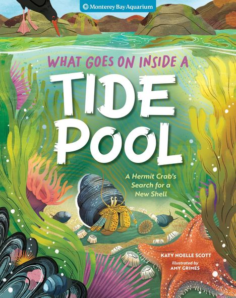 "What goes on inside a Tide Pool" - Eine Illustration mit einem Einsiedlerkrebs, Algen und Meerestieren.