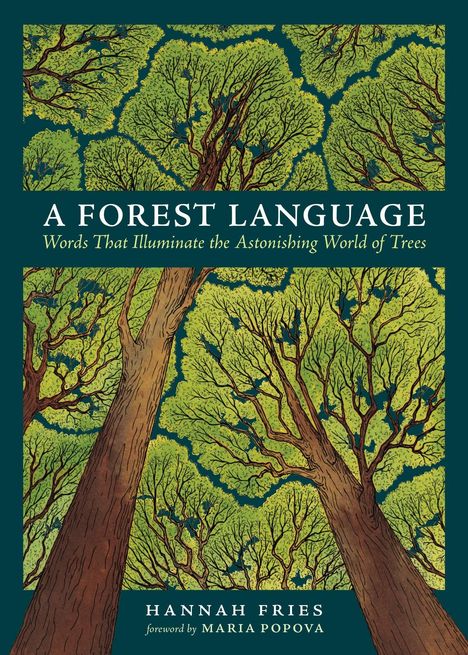 "A Forest Language: Words That Illuminate the Astonishing World of Trees" von Hannah Fries, Vorwort von Maria Popova. Illustration von Bäumen.