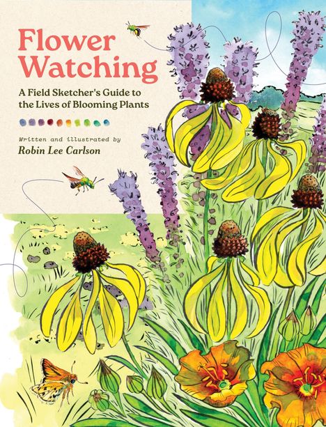 "Flower Watching: A Field Sketcher’s Guide to the Lives of Blooming Plants" von Robin Lee Carlson. Illustration von Blüten und Insekten.