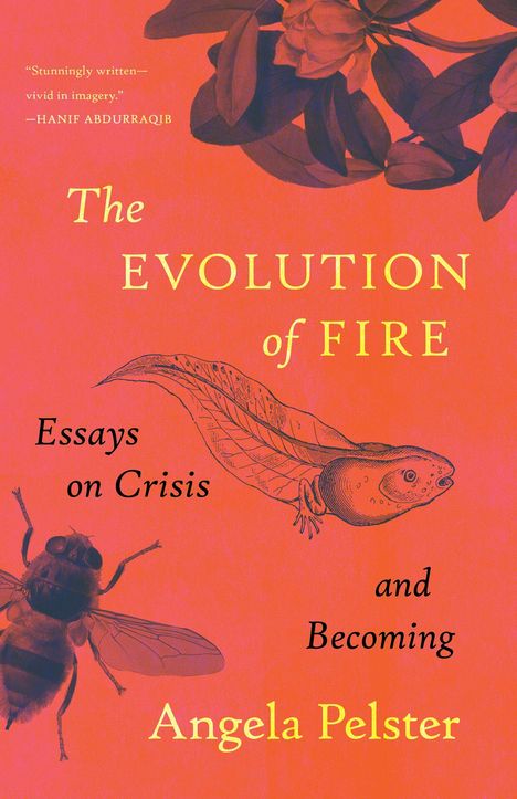 "The Evolution of Fire: Essays on Crisis and Becoming" von Angela Pelster, kunstvoll mit Blume, Insekt und Kaulquappe.