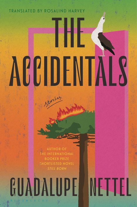 Guadalupe Nettel: The Accidentals, Buch