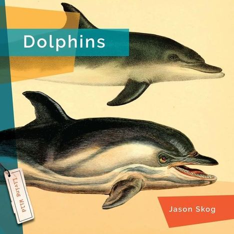 Jason Skog: Dolphins, Buch