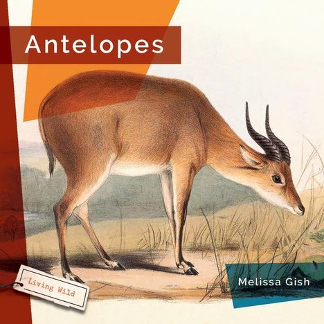 Melissa Gish: Antelopes, Buch