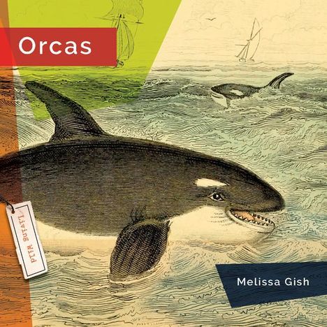 Melissa Gish: Orcas, Buch