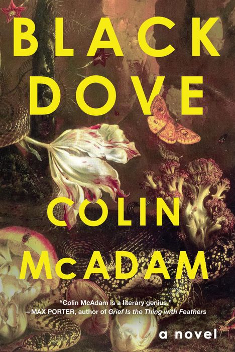 Colin Mcadam: Black Dove, Buch