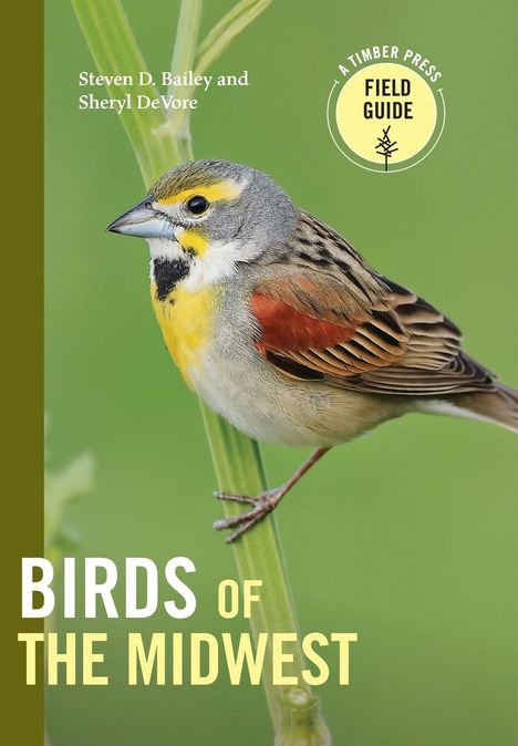 "Steven D. Bailey and Sheryl DeVore", "BIRDS OF THE MIDWEST", ein Vogel sitzt auf einem Stängel.