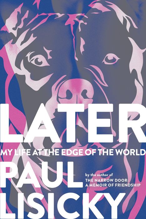 Paul Lisicky: Later, Buch