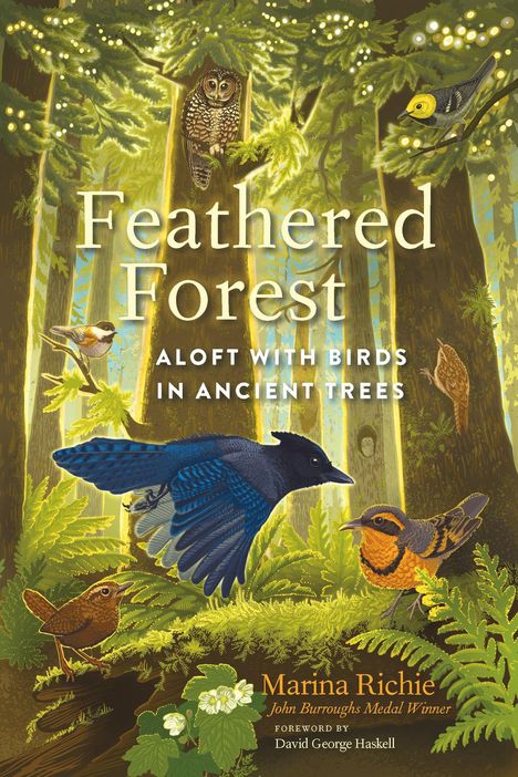 „Feathered Forest: Aloft with Birds in Ancient Trees“ von Marina Richie. Illustration mit Vögeln in einem dichten Wald. 
