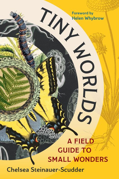 "TINY WORLDS" oben, "Foreword by Helen Whybrow" in Blau, "A FIELD GUIDE TO SMALL WONDERS", Chelsea Steinauer-Scudder unten. Naturillustration.