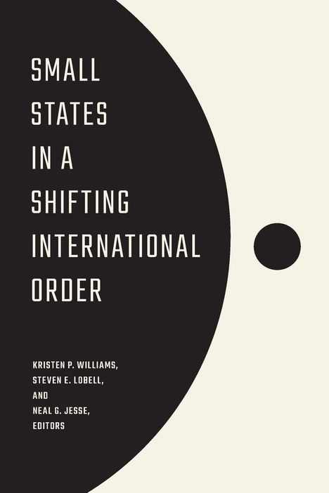 Small States in a Shifting International Order, Buch